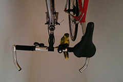 ziegensittiche tag 43